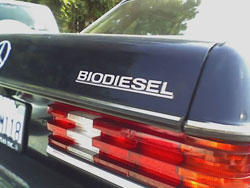 Biofuel. Credit: Wikipedia--free copyright.