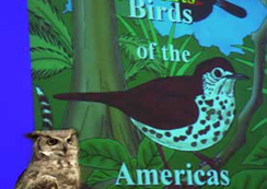 Birds of America.